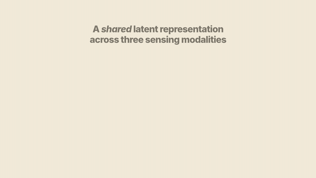 TACTX intro animation: a shared latent representation across three sensing modalities.
